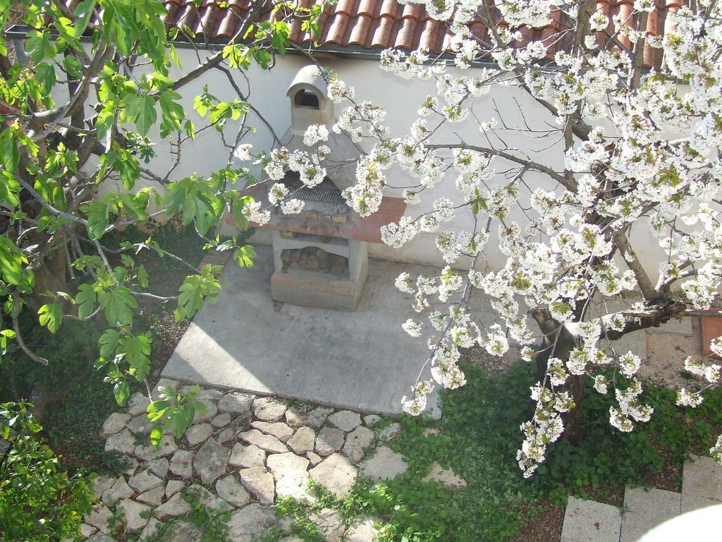 Villa Dalmatia Zadar Ngoại thất bức ảnh