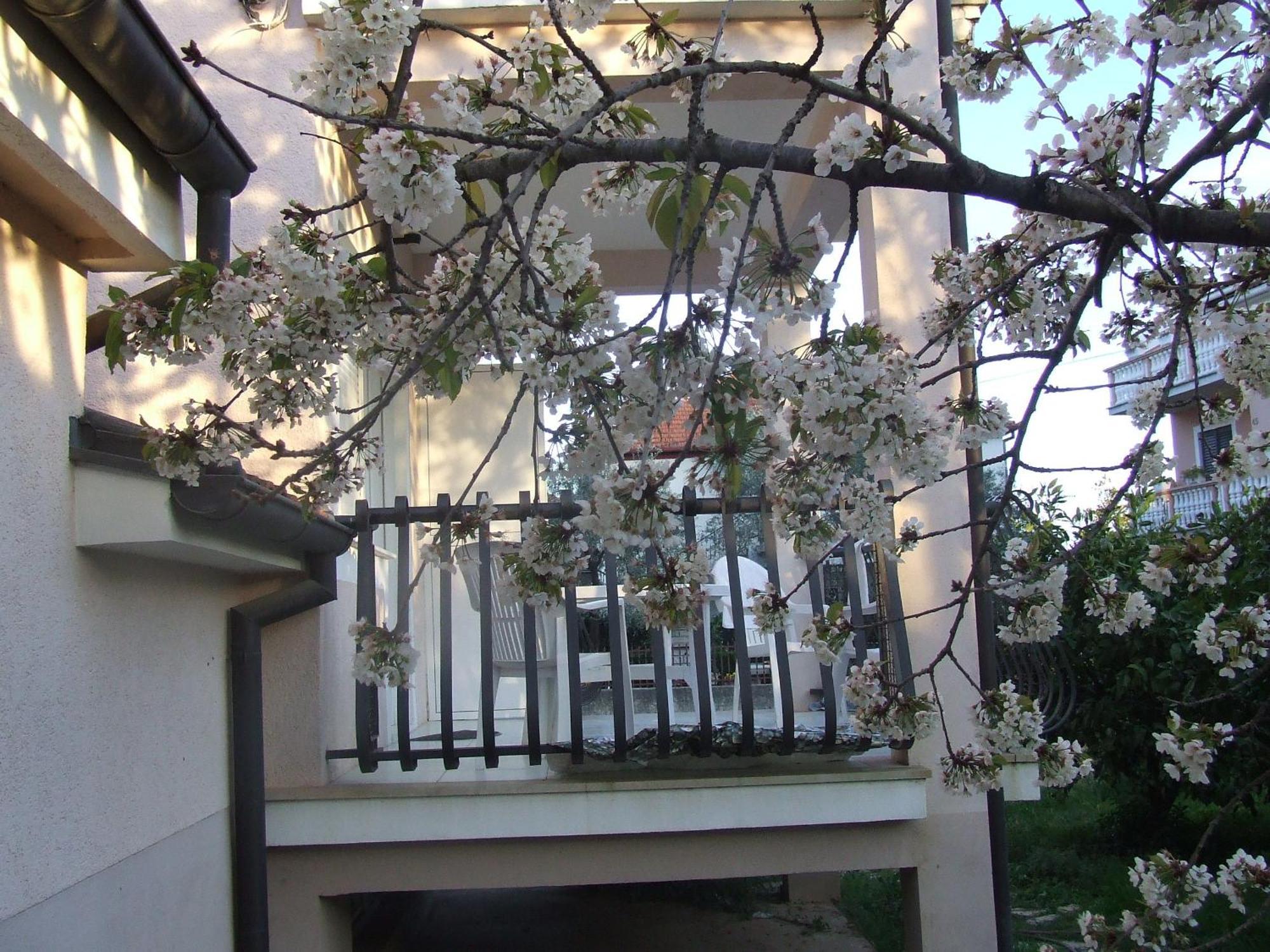 Villa Dalmatia Zadar Phòng bức ảnh